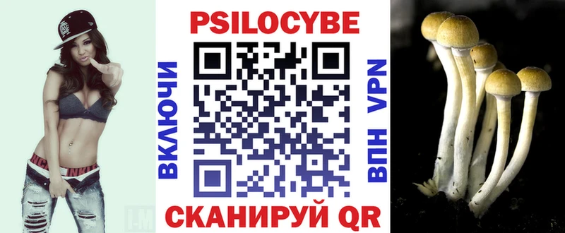 Купить Верхняя Пышма Галлюциногенные грибы Psilocybe