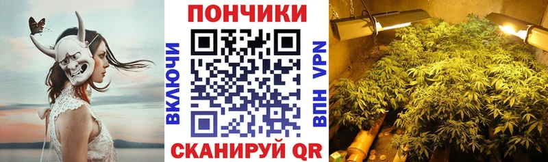 Купить  Верхняя Пышма  Канабис планчик 